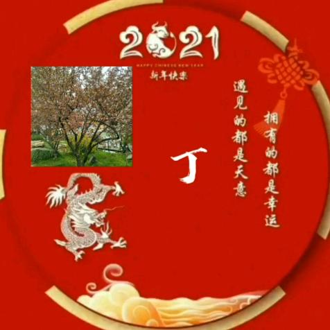 笑对人生