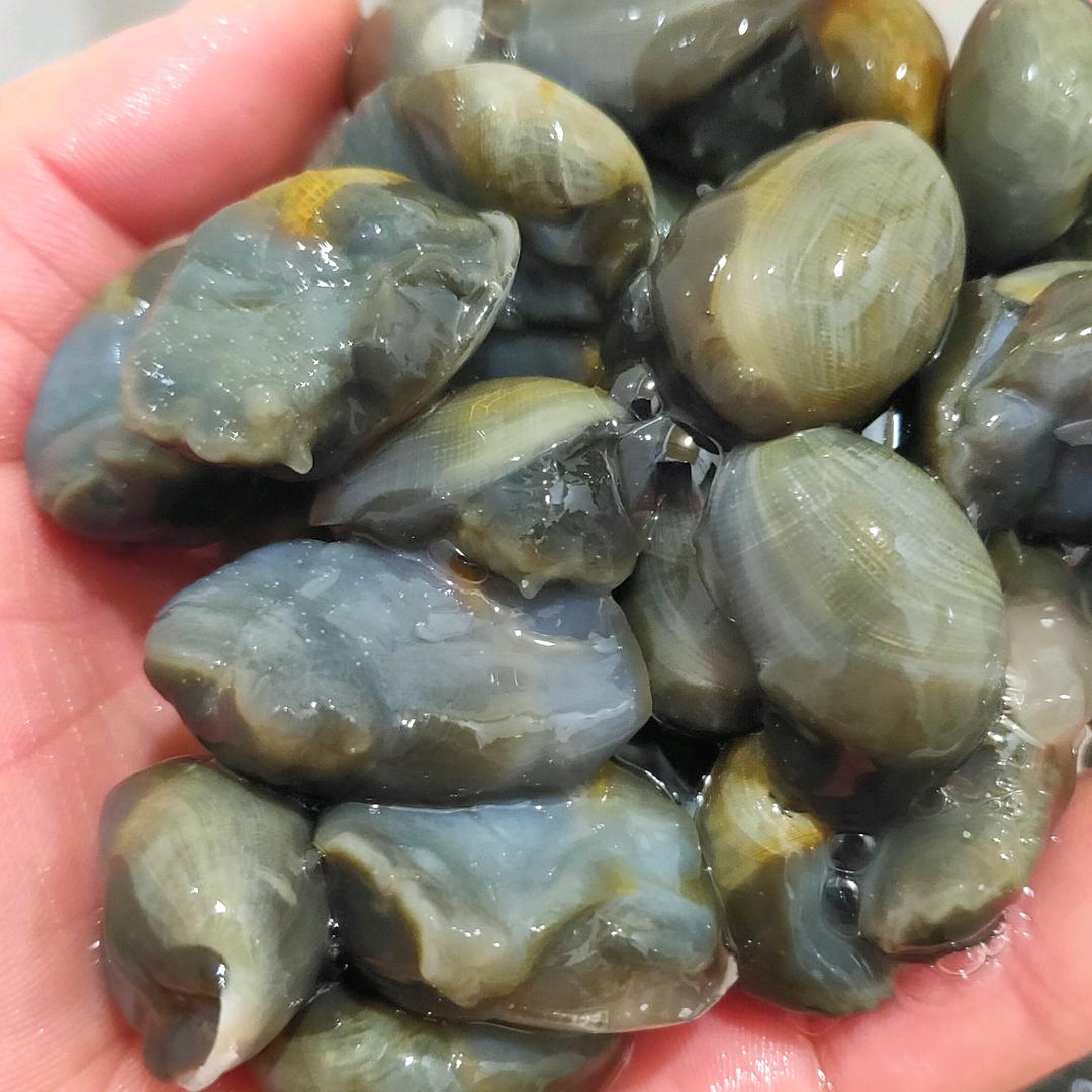 红丰水产有限公司