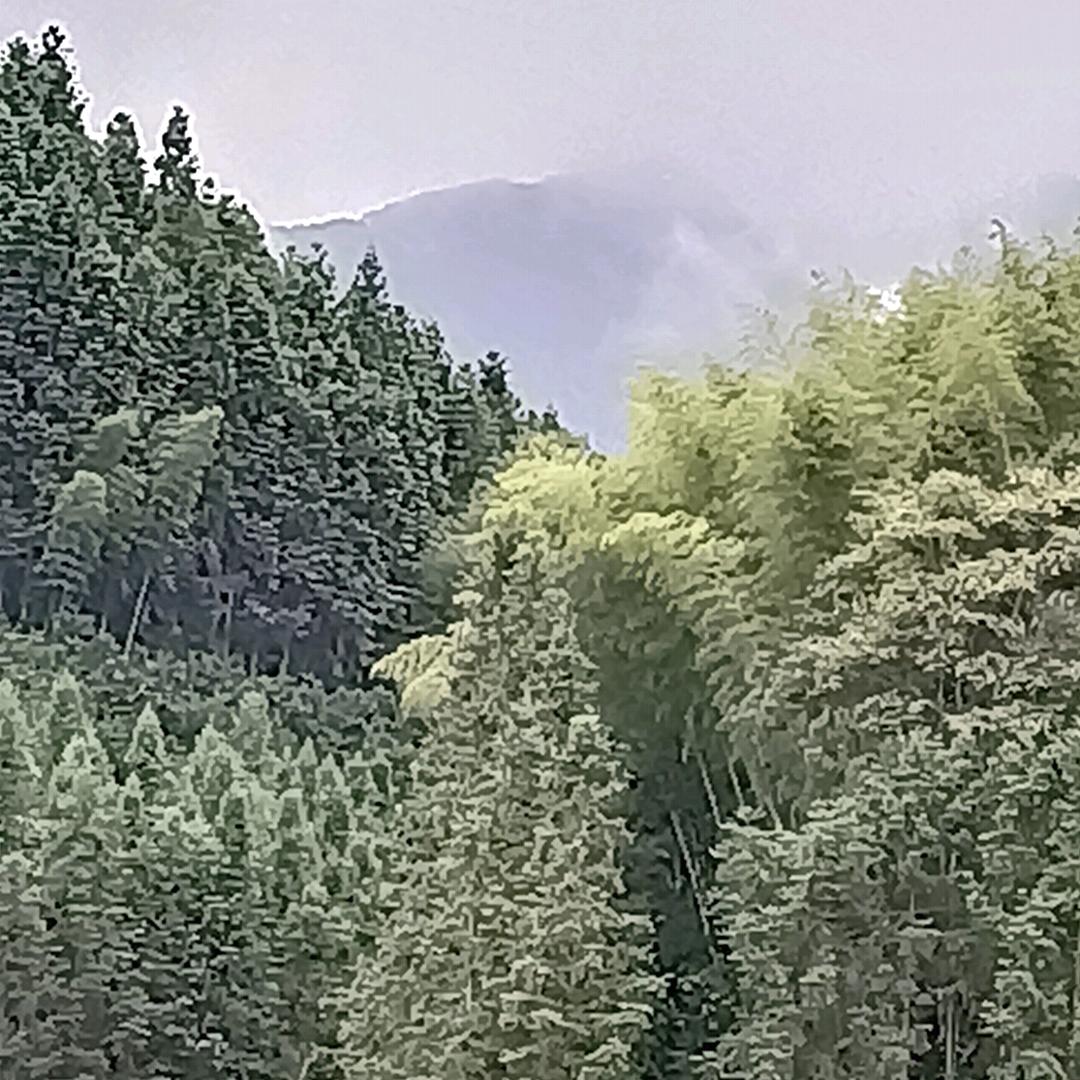 幸福一家人