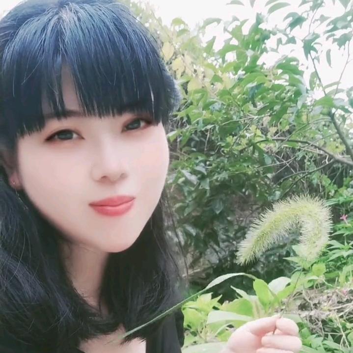 小龙女