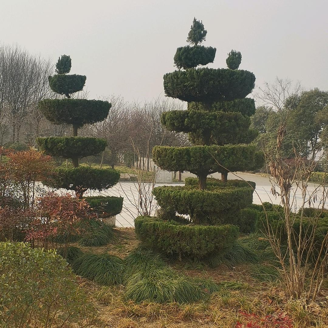 蓝天