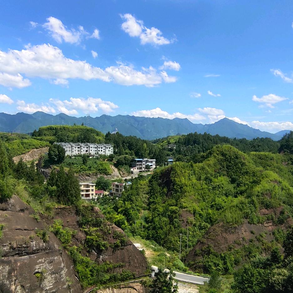 糊图