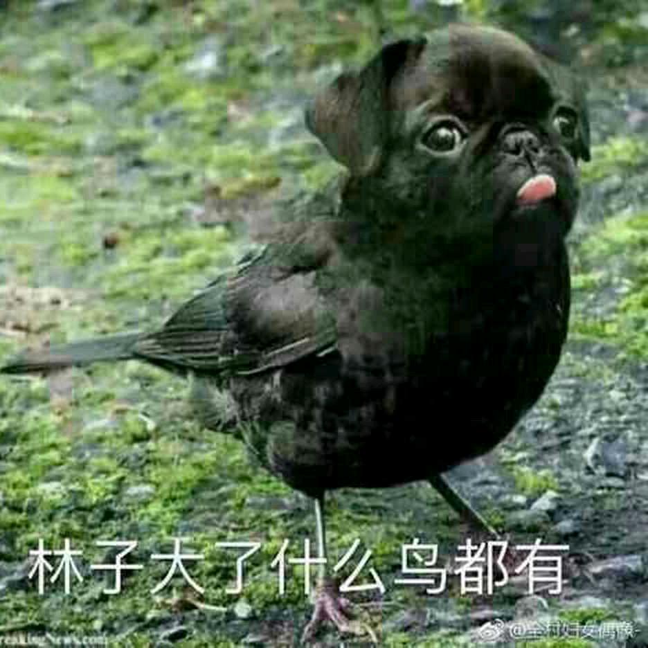 覃