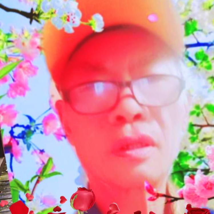王社