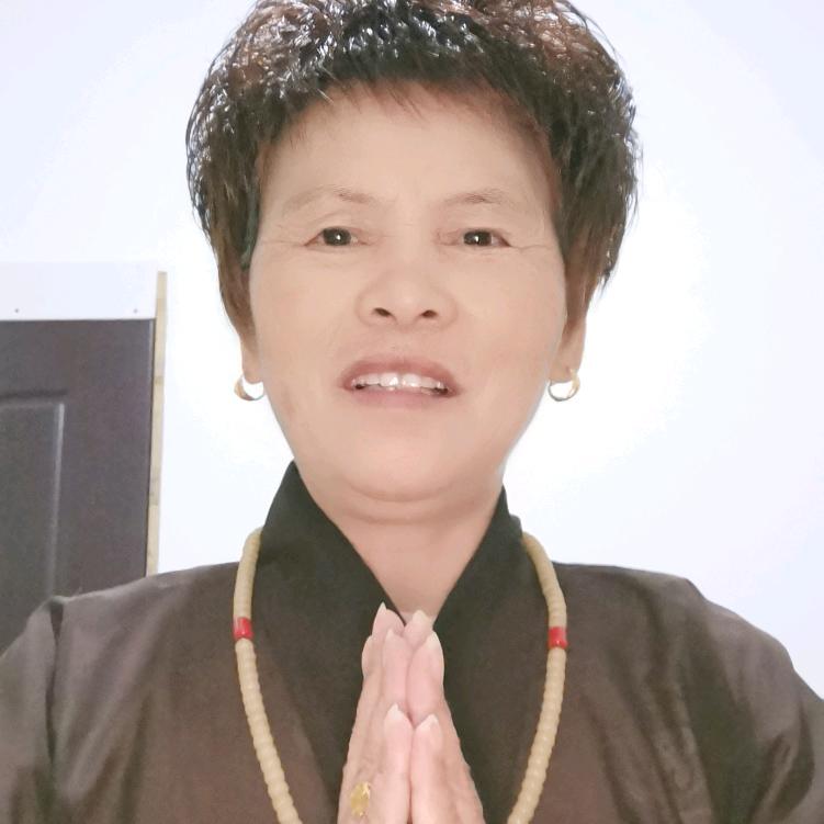 金域丹堤