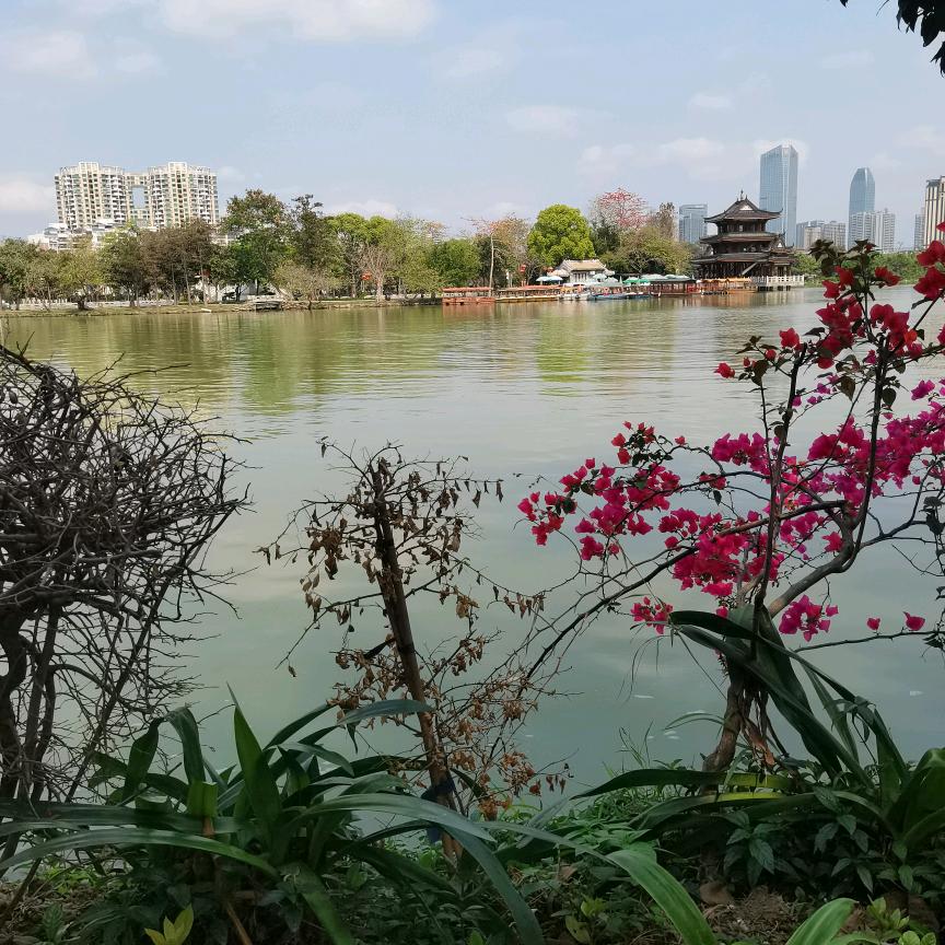 廖无牵挂✌