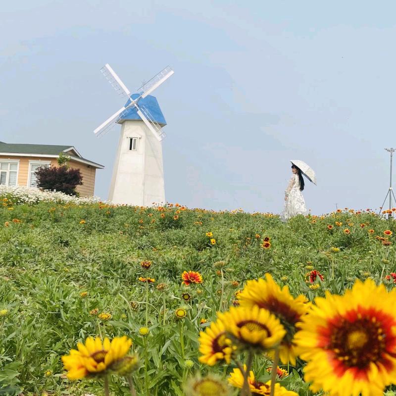 鬓边不是海棠红