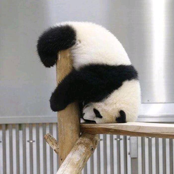 超人