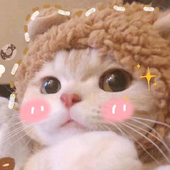 小wing子（吃喝玩乐全攻略）