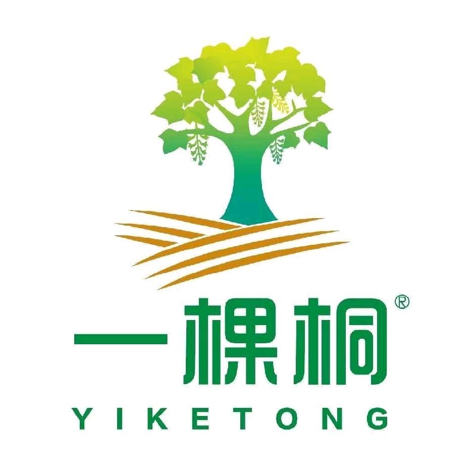 一棵桐漆（官方账号）