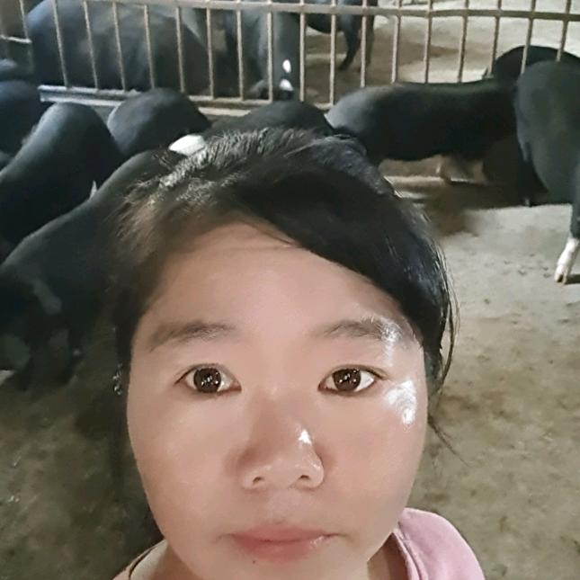 凉山顺香姐