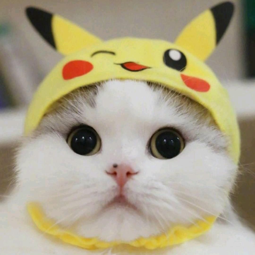 解压先生