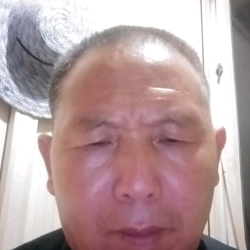美丽的春天