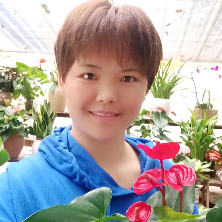 阿房花肆