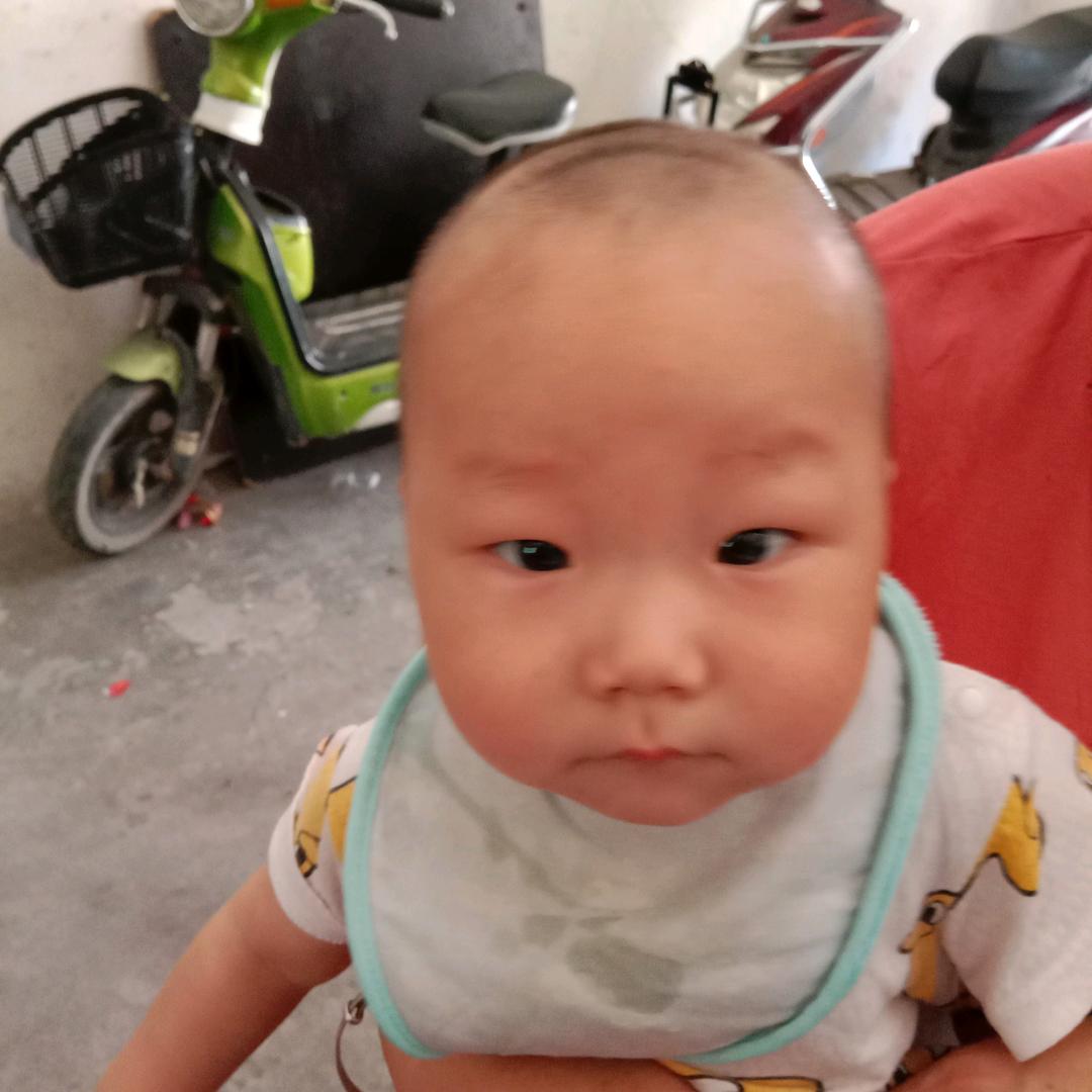 家🐍有🐎五🐒宝🐓宝🐀奶奶