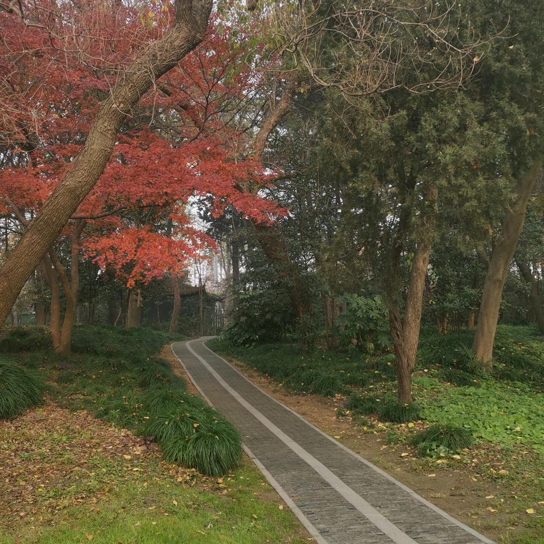 你开心，我就快乐