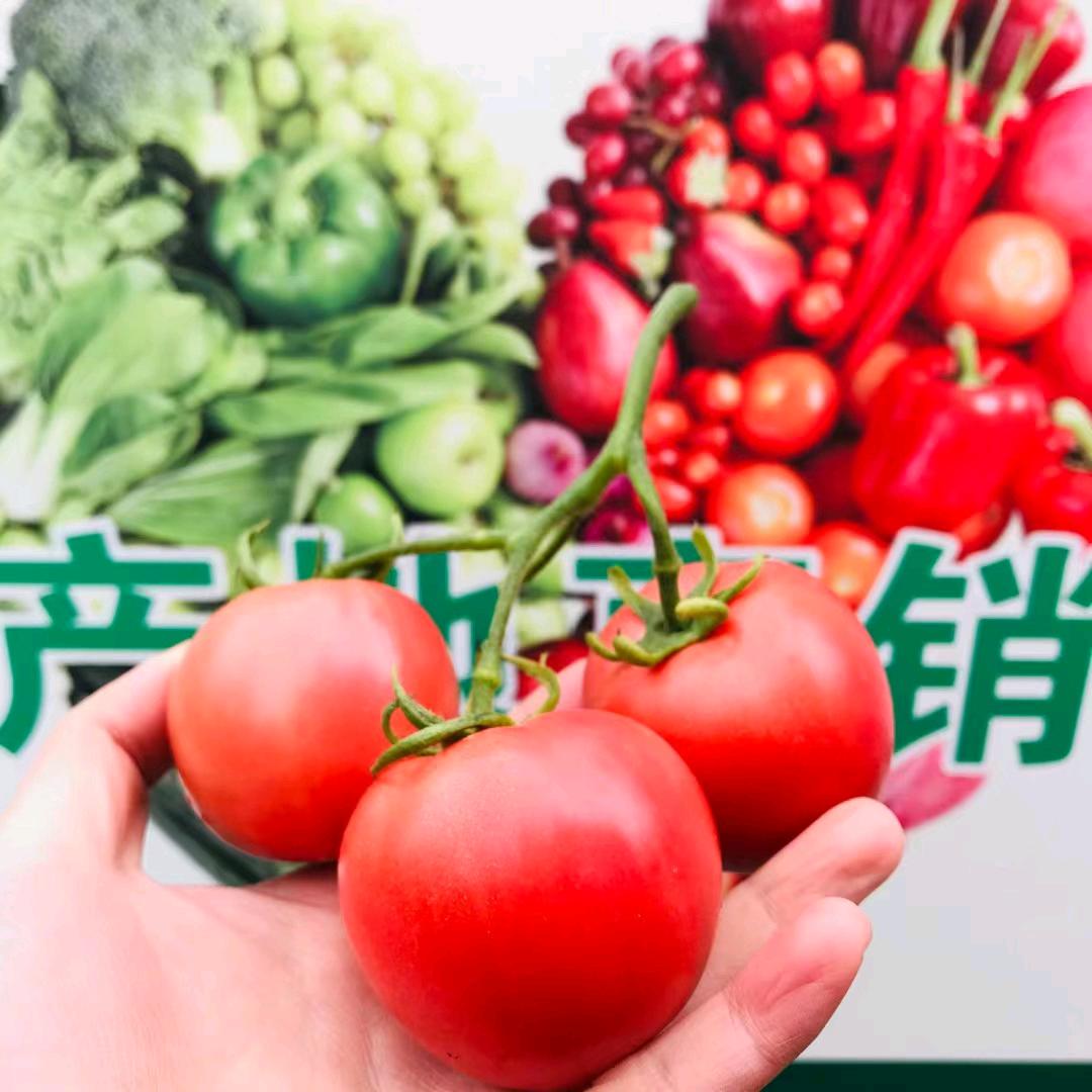 北方人果蔬