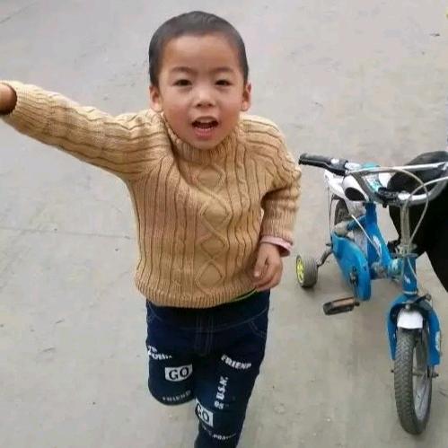 向远凤