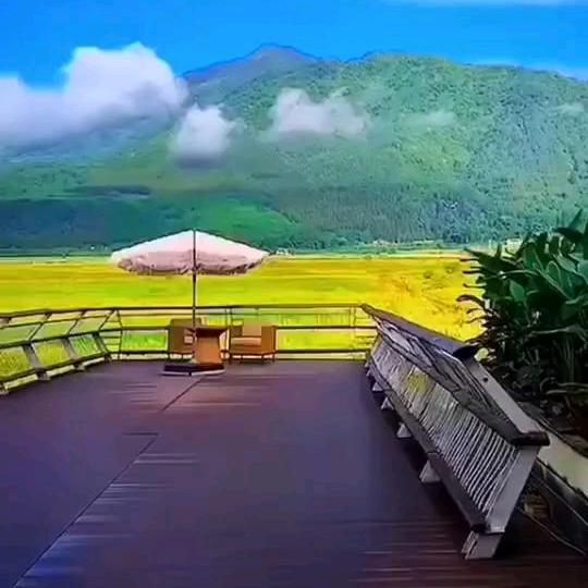 花开花落*♣♣