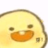龙延子木