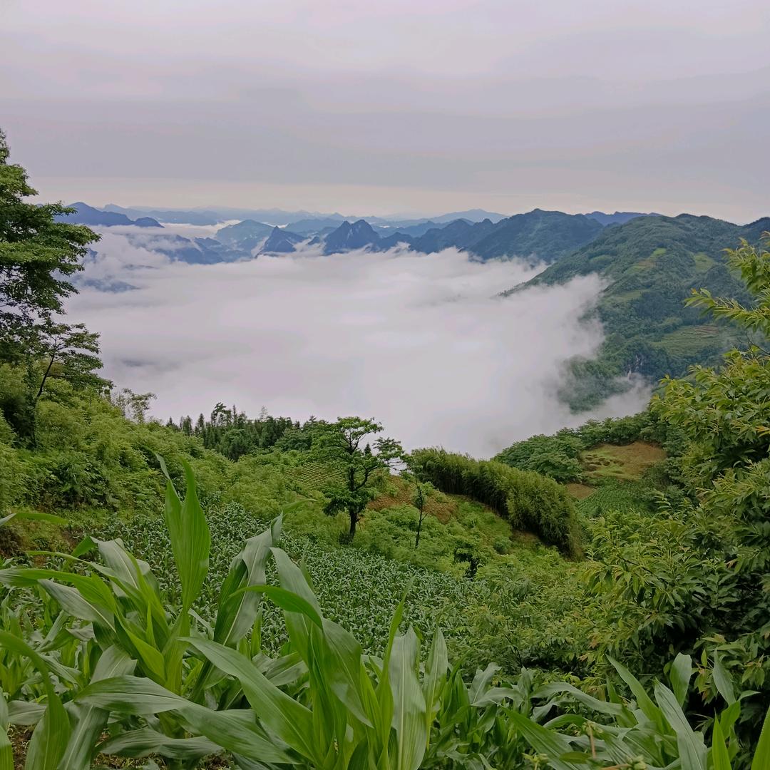 红尘我已看破，海枯石烂也是谎言，我能信你