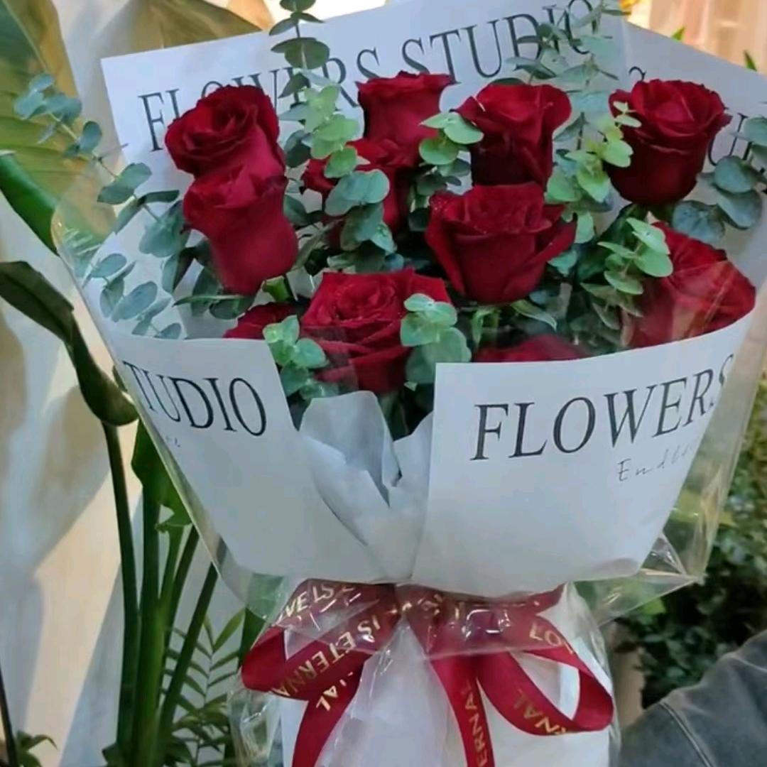 莫,,伤(我是月月丫头的四姨)