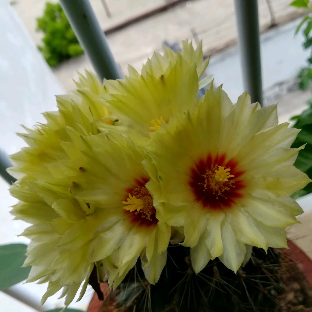 阳光