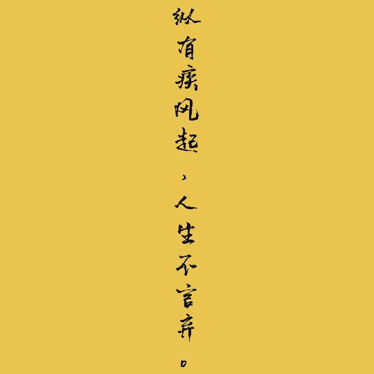 张同学