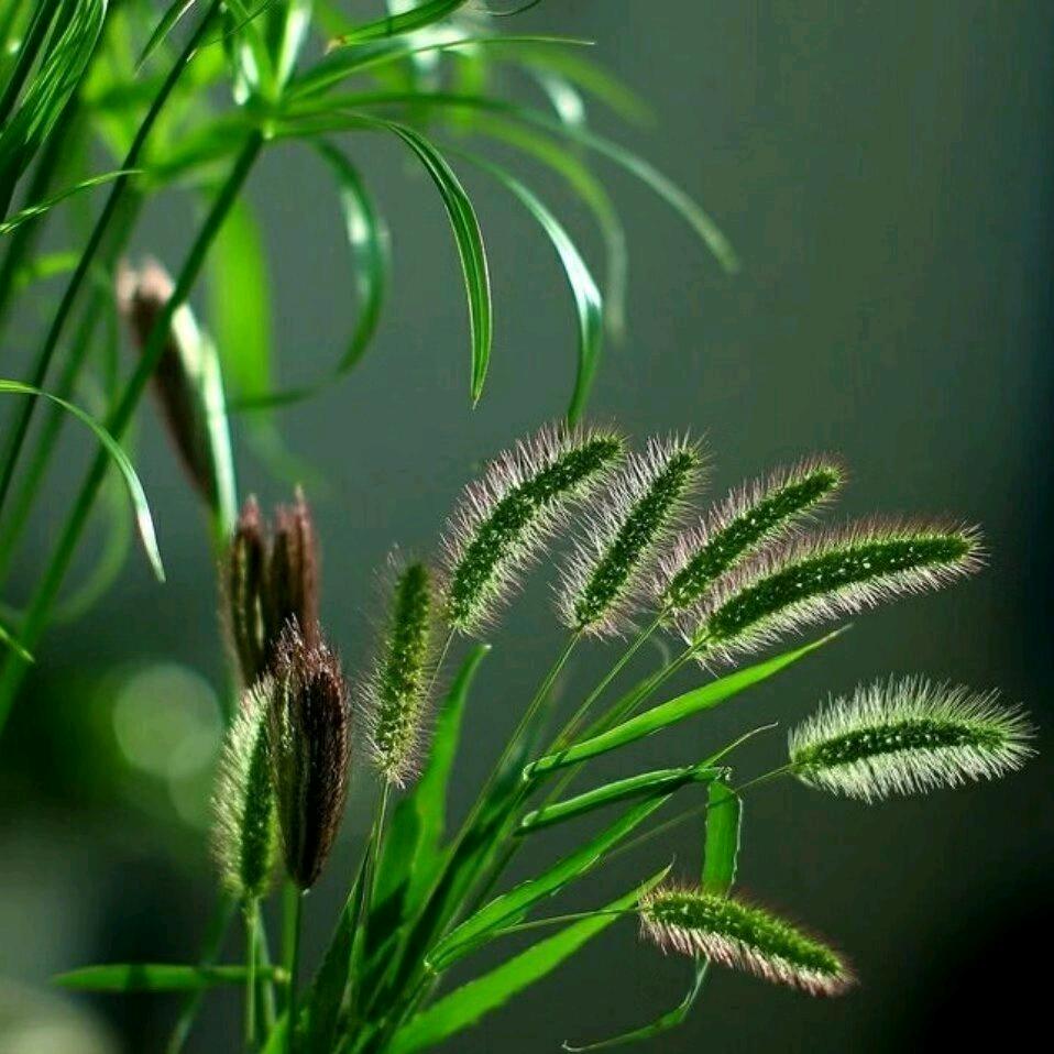 ╭☞一个人的ૅω地老天荒•́ᵎᵎᵎ