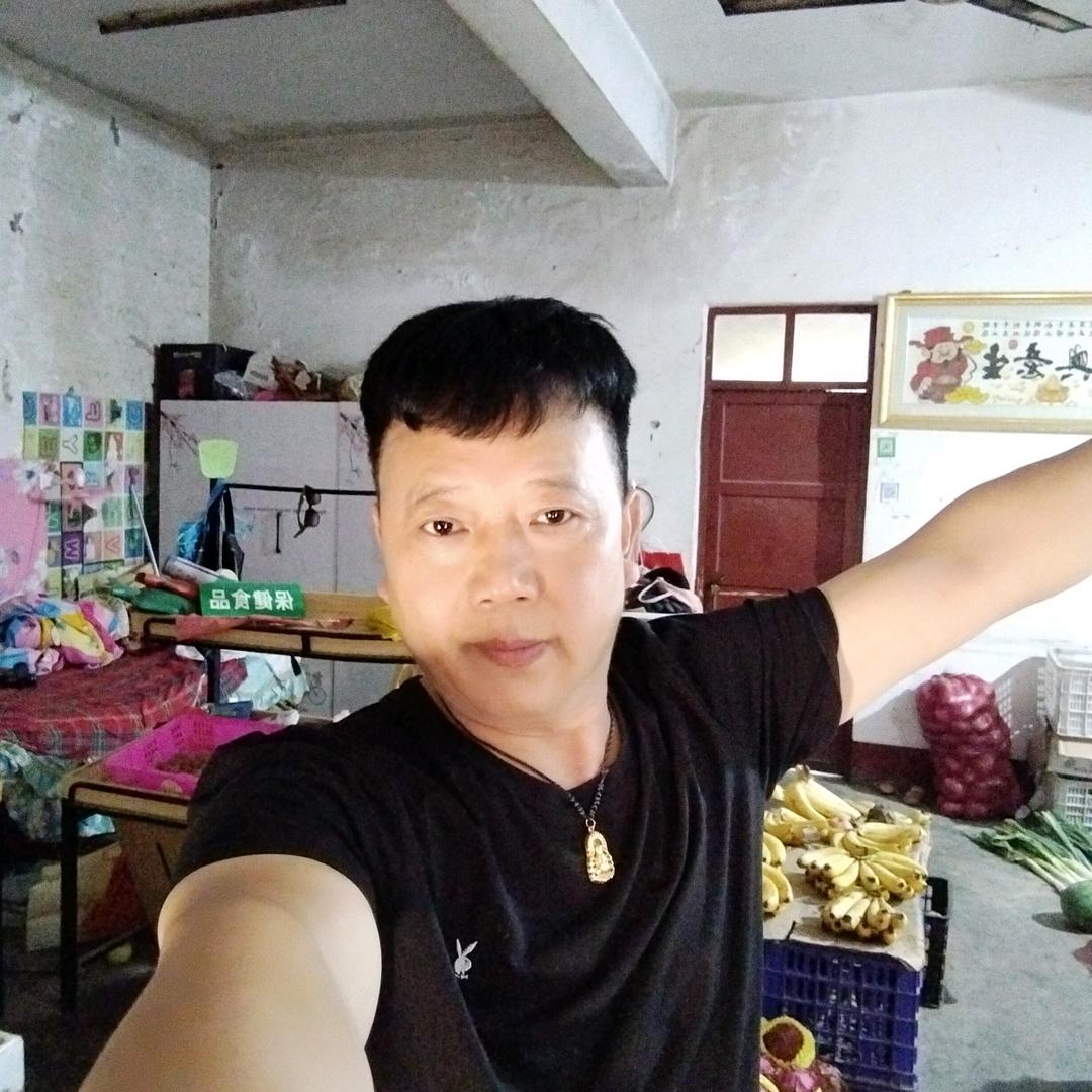 东东h