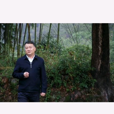 菜的菜叔