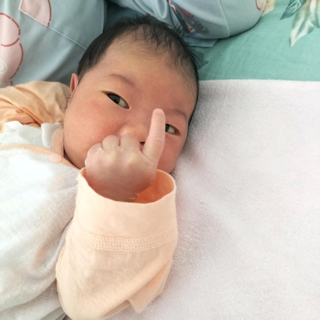 人之命天注定