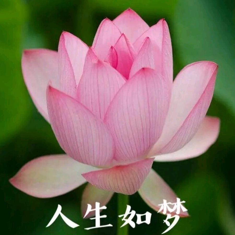 🌈天桥底下唐半仙