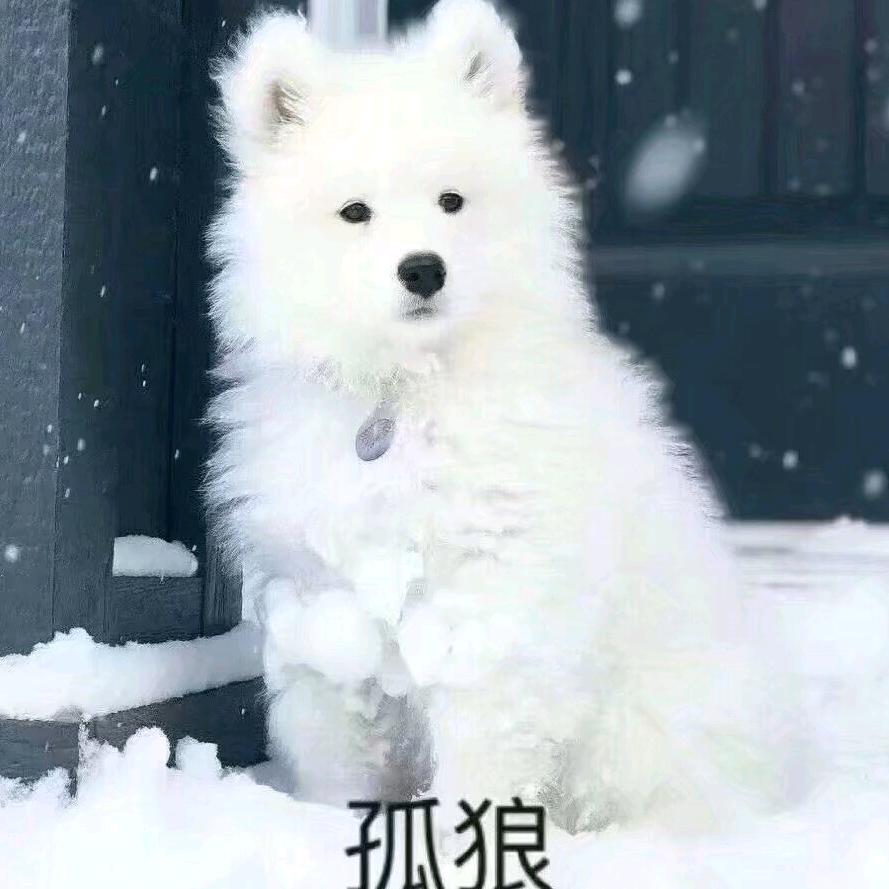 余鸠