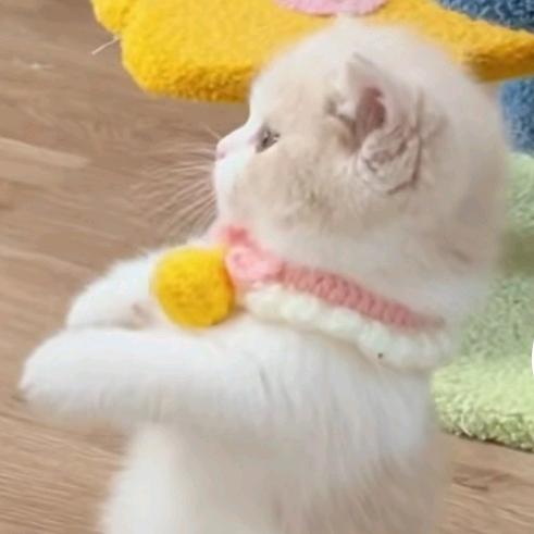 高在这儿～
