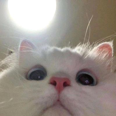 🌙