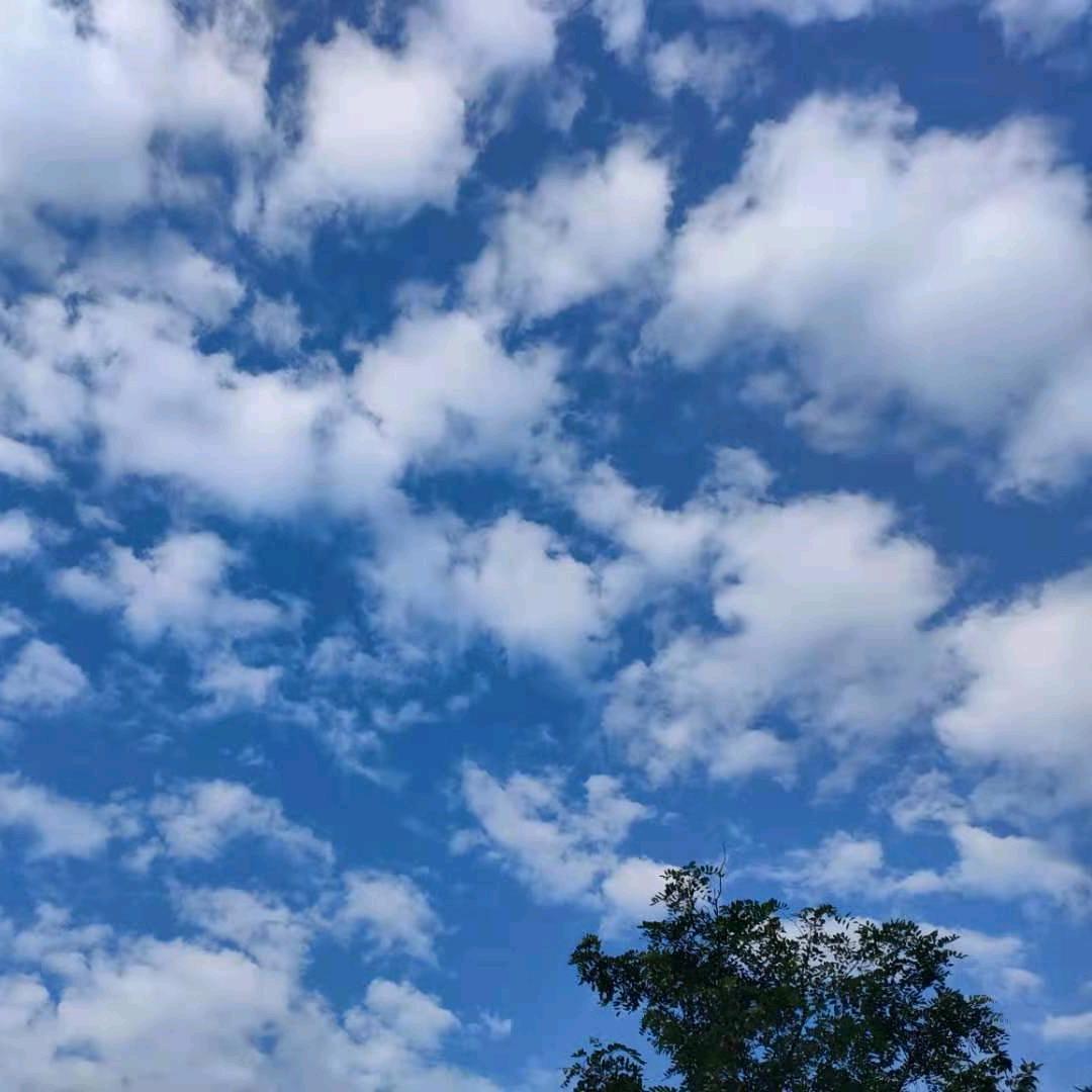 小川