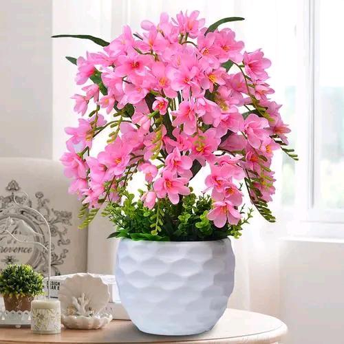 绕芳园花卉经营部