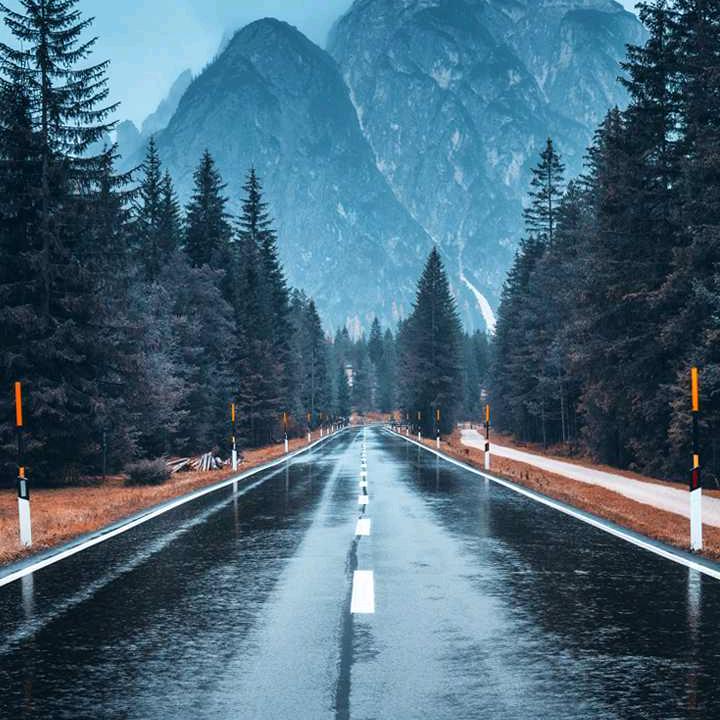 秋风的雨