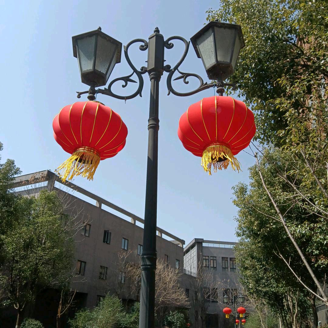 老张