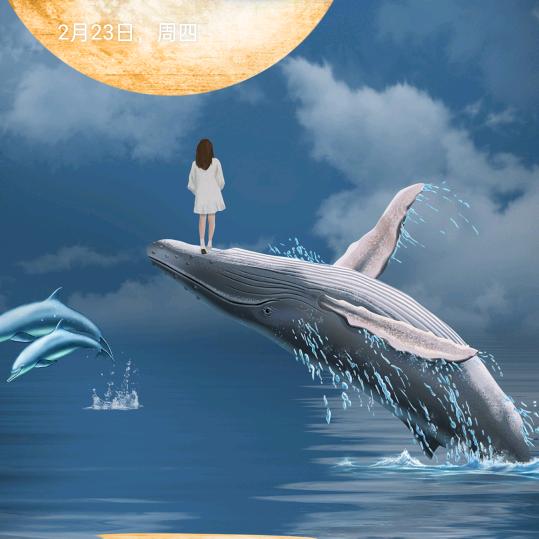 安其生个人护理旗舰店