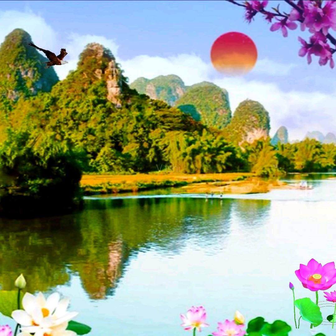 键壮的斑马