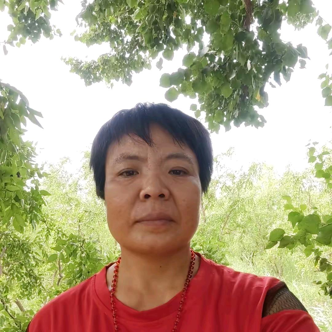 轮胎妹（大号同名晚上22：20开播）