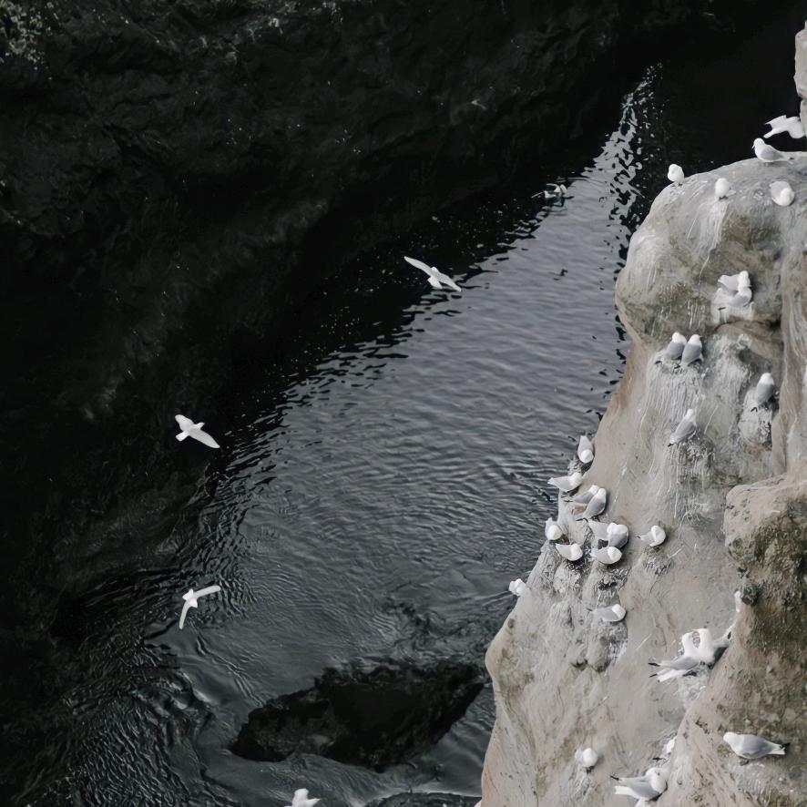 不会做饭更不会做法