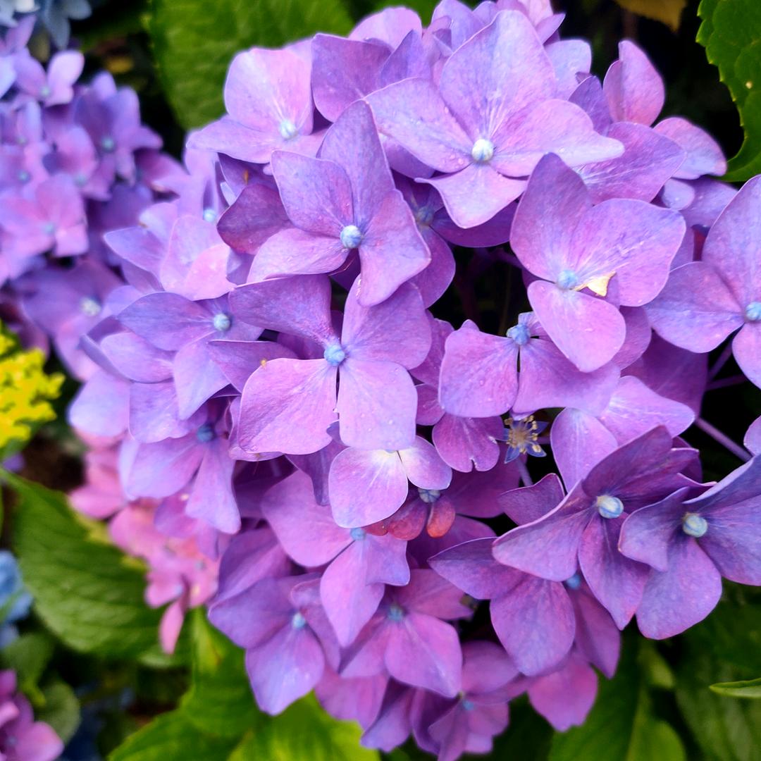 *ꕥ᭄空城旧梦ꦿঞ