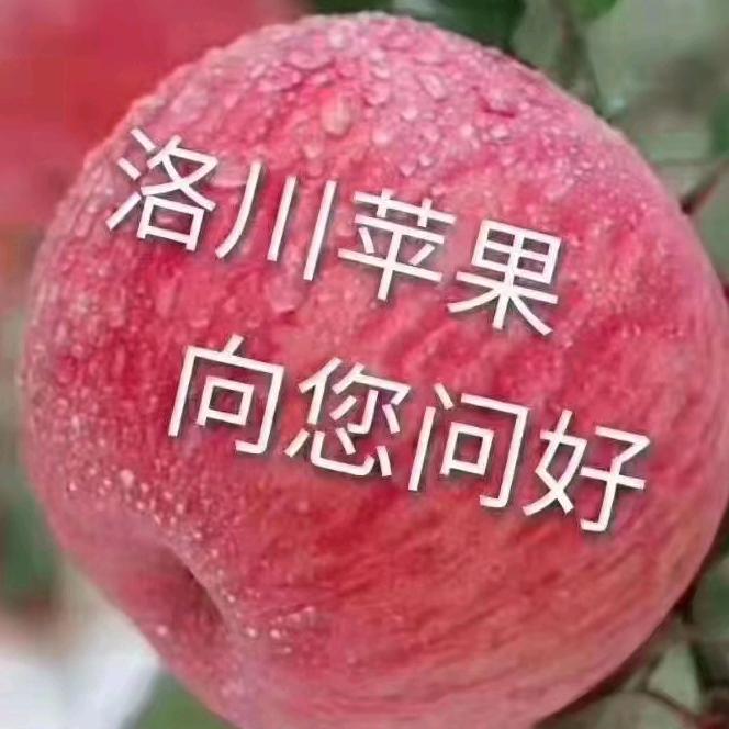 洛川县郑记林苹果经营部