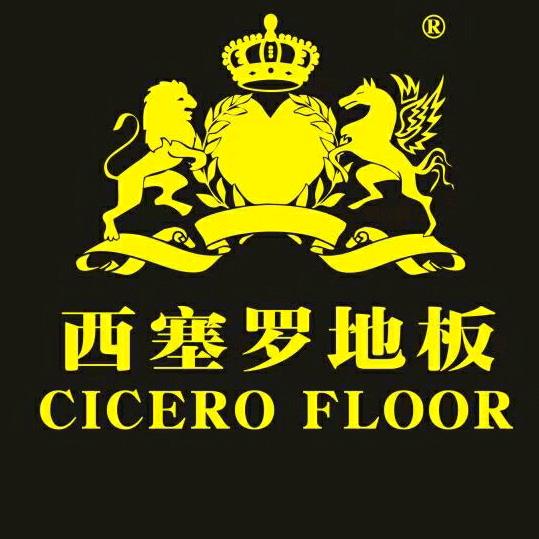 西塞罗地板
