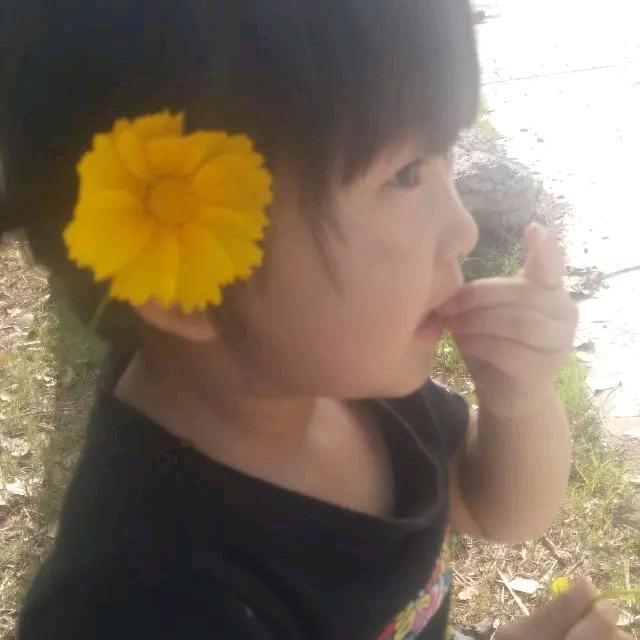 桐妈妈