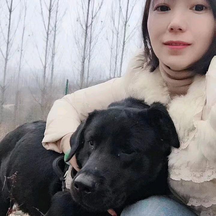 黑子跟邹慧