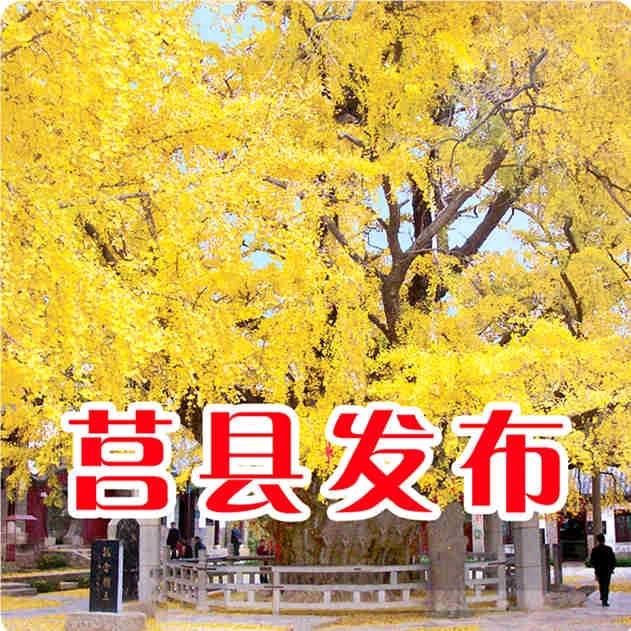 莒县发布